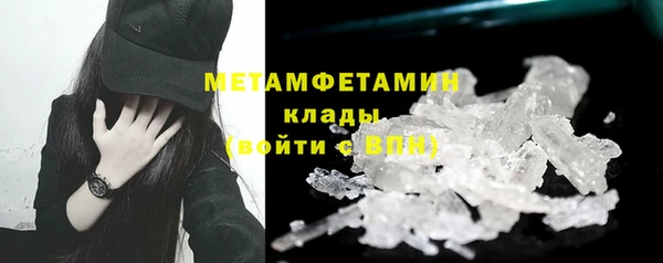 прущие грибы Нея