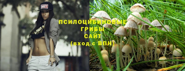 прущие грибы Нея