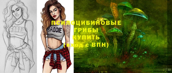 прущие грибы Нея